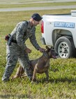 A 5th Security Forces K9 handler prepares to release his dog during a demonstration at the Northern Neighbors Day Air Show at Minot Air Force Base, N.D., Aug. 13, 2016. Before the air show officially started, spectators could watch different demos such as the K9s, a bomb load and build as well as a tour of the 91st Missile Wing. (U.S. Air Force photo/Airman 1st Class Christian Sullivan)