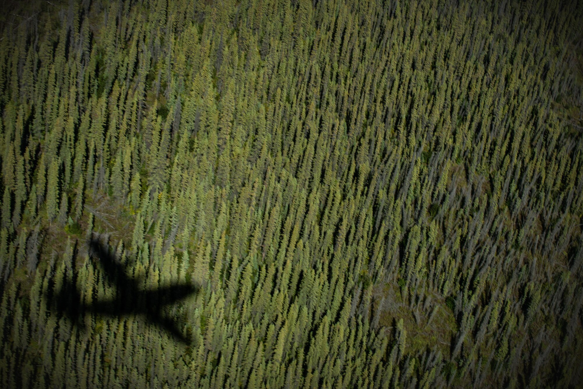 A shadow of a C-130 Hercules is casted onto the ground while performing low-levels during Red Flag Alaska near Joint Base Elmendorf-Richardson, Alaska, Aug. 12, 2016. Red Flag provides joint offensive counter-air, interdiction, close air support, and large force employment training in a simulated combat environment. (U.S. Air Force photo by Staff Sgt. Michael Smith/Released)