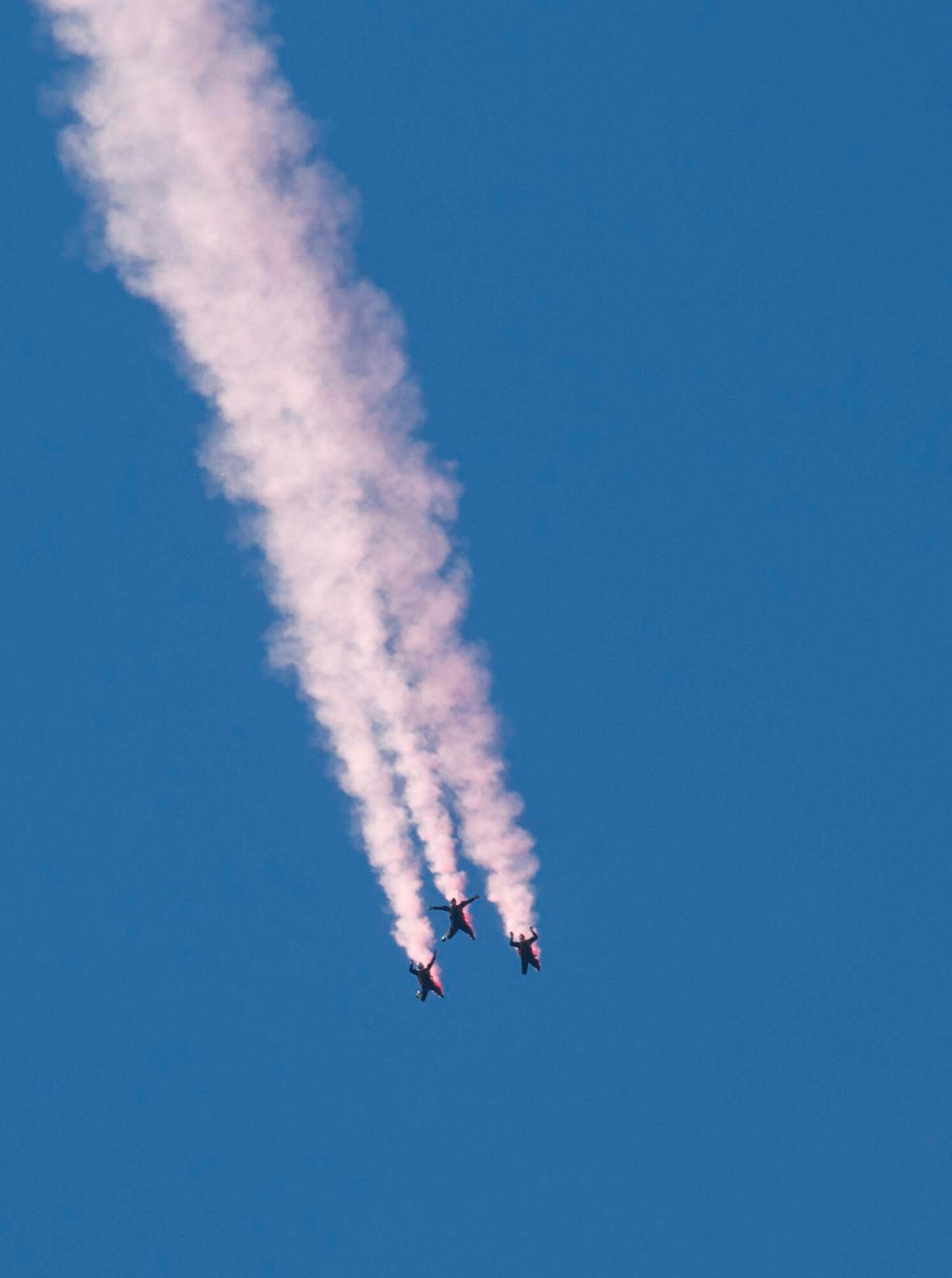 Members of the U.S. Army Golden Knights freefall during their aerial demonstration at the Northern Neighbors Day Air Show at Minot Air Force Base, N.D., Aug. 13, 2016. The Golden Knights are one of the few Department of Defense-sanctioned aerial demonstration teams. (U.S. Air Force photo/Airman 1st Class Jonathan McElderry)