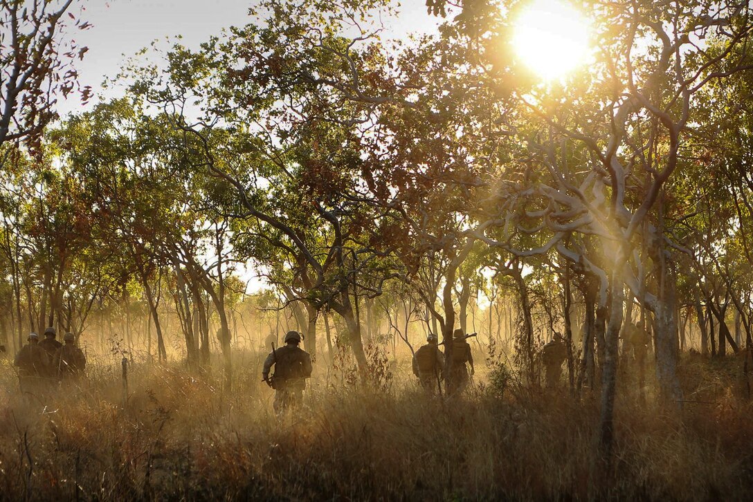 Marines walk through a forest toward a simulated enemy objective as part of Exercise Koolendong 16 at Bradshaw Field Training Area, Northern Territory, Australia, Aug. 10, 2016. The amphibious and live-fire exercise aims to increase interoperability between Marines and Australian forces. The Marines are assigned to Bravo Company, 1st Battalion, 1st Marine Regiment. Marine Corps photo by Sgt. Sarah Anderson 
