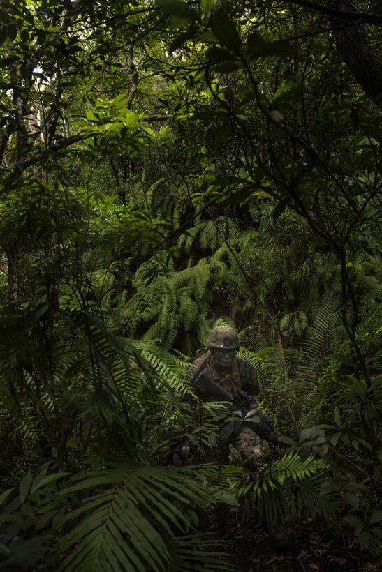 Lance Cpl. David Al-Ibrahim patrols the jungle during a field operation at the Jungle Warfare Training Center in Okinawa, Japan. The military policeman with Company B, 3rd Law Enforcement Battalion, III Marine Expeditionary Force Headquarters Group, III MEF conduct monthly training to maintain and sharpen skills for patrols in enemy territory. Al-Ibrahim, form Appleton, Wisconsin, is a field military policeman with Company B, 3rd LE Bn, III MHG, III MEF. (U.S. Marine Corps photo by Lance Cpl. Kelsey M. Dornfeld/ Released)
