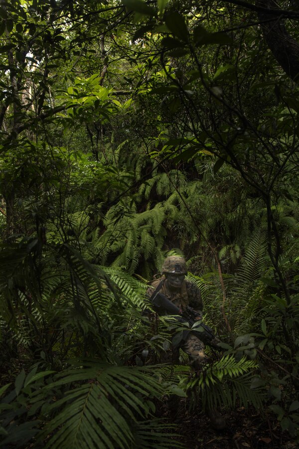 Lance Cpl. David Al-Ibrahim patrols the jungle during a field operation at the Jungle Warfare Training Center in Okinawa, Japan. The military policeman with Company B, 3rd Law Enforcement Battalion, III Marine Expeditionary Force Headquarters Group, III MEF conduct monthly training to maintain and sharpen skills for patrols in enemy territory. Al-Ibrahim, form Appleton, Wisconsin, is a field military policeman with Company B, 3rd LE Bn, III MHG, III MEF. (U.S. Marine Corps photo by Lance Cpl. Kelsey M. Dornfeld/ Released)