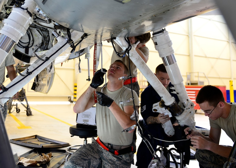 New landing gear helps Airmen strut their stuff > Aviano Air Base