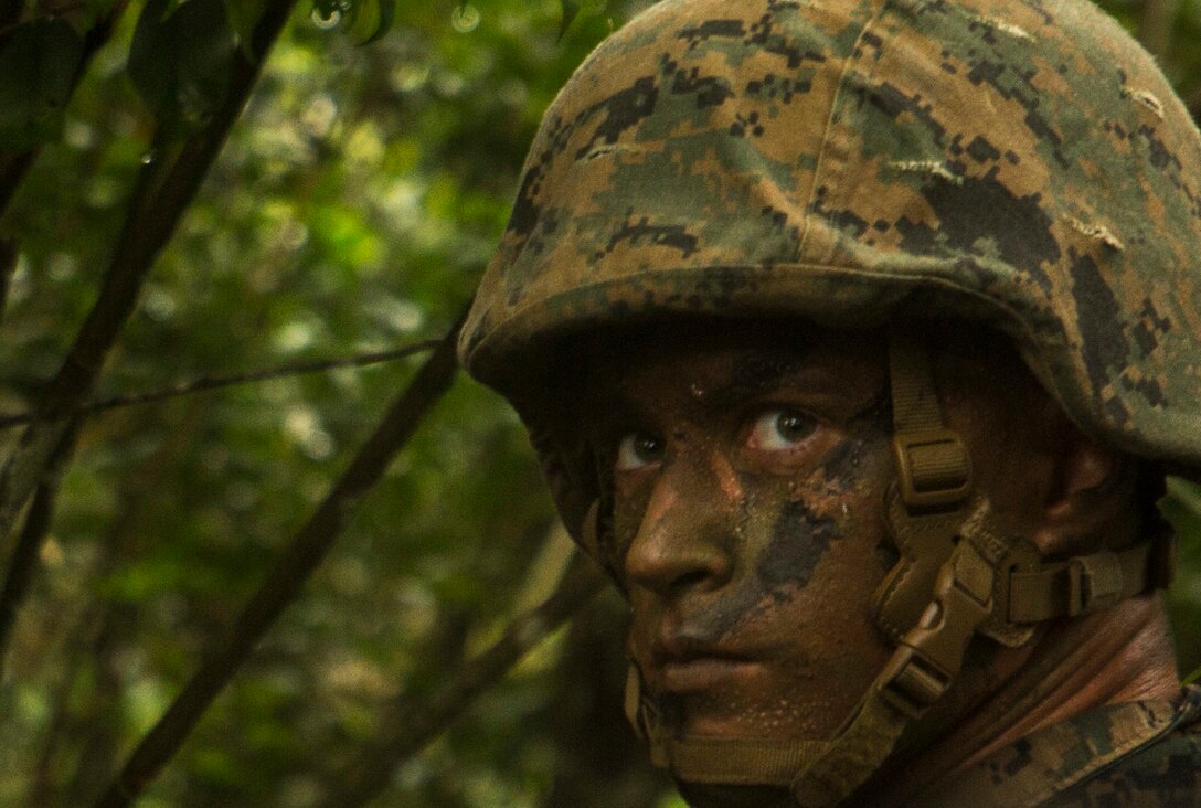 Pfc. Kevin E. McDonald scans the area for simulated enemy combatants during a field operation at the Jungle Warfare Training Center in Okinawa, Japan. The military policeman with Company B, 3rd Law Enforcement Battalion, III Marine Expeditionary Force Headquarters Group, III MEFconduct monthly training to maintain and sharpen skills for patrols in enemy territory. McDonald, from Katy, Texas, is a field military policeman with Company B, 3rd LE Bn, III MHG, III MEF. (U.S. Marine Corps photo by Lance Cpl. Kelsey M. Dornfeld/ Released)