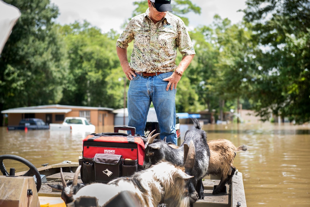 Members of the Saint Amant Fire Department and volunteers transport several animals left stranded amid flooding in Saint Amant, La., Aug. 16, 2016. The Coast Guard is providing assistance following severe flooding across the state. Coast Guard photo by Petty Officer 2nd Class LaNola Stone