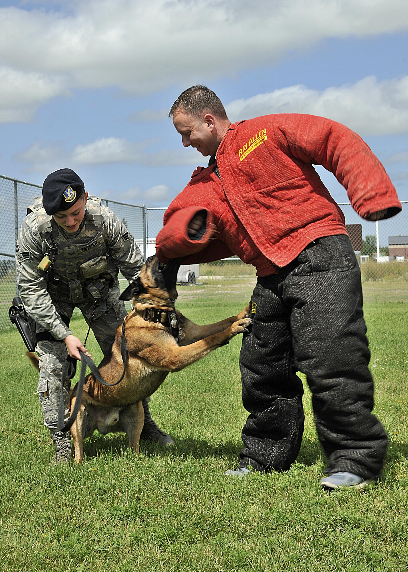 Master Sgt. Stephen Middleton, 319th Security Forces Squadron first sergeant, is attacked by Zumba, 319th SFS military working dog, as Senior Airman Katelyn Farmer, 319th SFS MWD handler, stands by to give her K-9 the next command, Aug. 10, 2016, on Grand Forks Air Force Base, N.D. Middleton has been assigned to the 319th SFS for more than a year as a first sergeant. He is showing his appreciation to his defenders by performing different aspects of their career field. (U.S. Air Force photo by Senior Airman Xavier Navarro/Released)