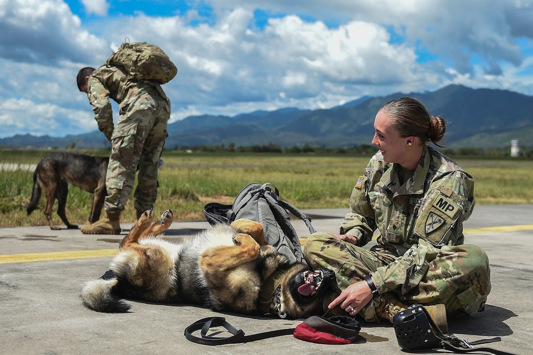 U.S. Army Spc. Mariah Ridge, a military working dog handler assigned to Joint Task Force-Bravo’s Joint Security Forces, laughs at her MWD, Jaska, during K9 hoist evacuation training at Soto Cano Air Base, Honduras, August 15, 2016. Although the MWDs and their handlers were training in 90 degree, 100 percent humidity weather, they managed to stay in good spirits.