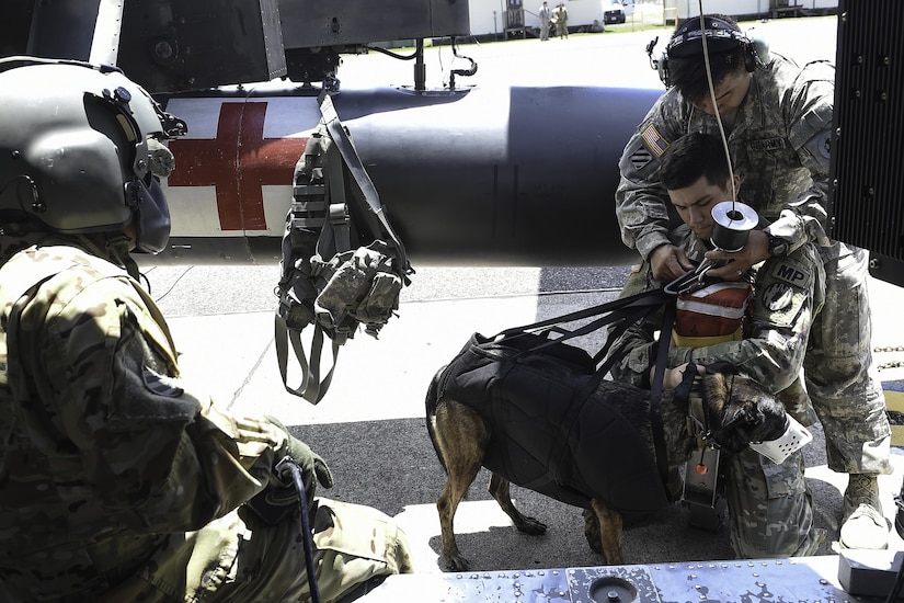 U.S. Army Spc. Harley Reno, a military working dog handler assigned to Joint Task Force-Bravo’s Joint Security Forces, and his MWD, Kyra, are secured to a hoist during training at Soto Cano Air Base, Honduras, August 15, 2016. The MWD handlers and their dogs first were attached to the hoist while the aircraft was off and on the ground, before moving out to the field for the live portion of training.