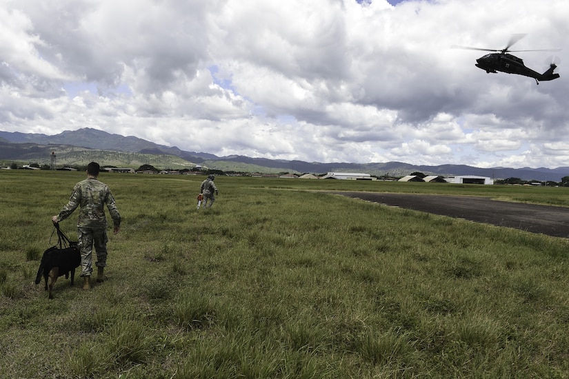 U.S. Army Spc. Harley Reno, a military working dog handler assigned to Joint Task Force-Bravo’s Joint Security Forces, and his MWD, walk toward a UH-60L Black Hawk during K9 hoist evacuation training at Soto Cano Air Base, Honduras, August 15, 2016. The MWDs and their handlers undergo the hoist training so their first experience with a helicopter won’t come during a real-world operation.