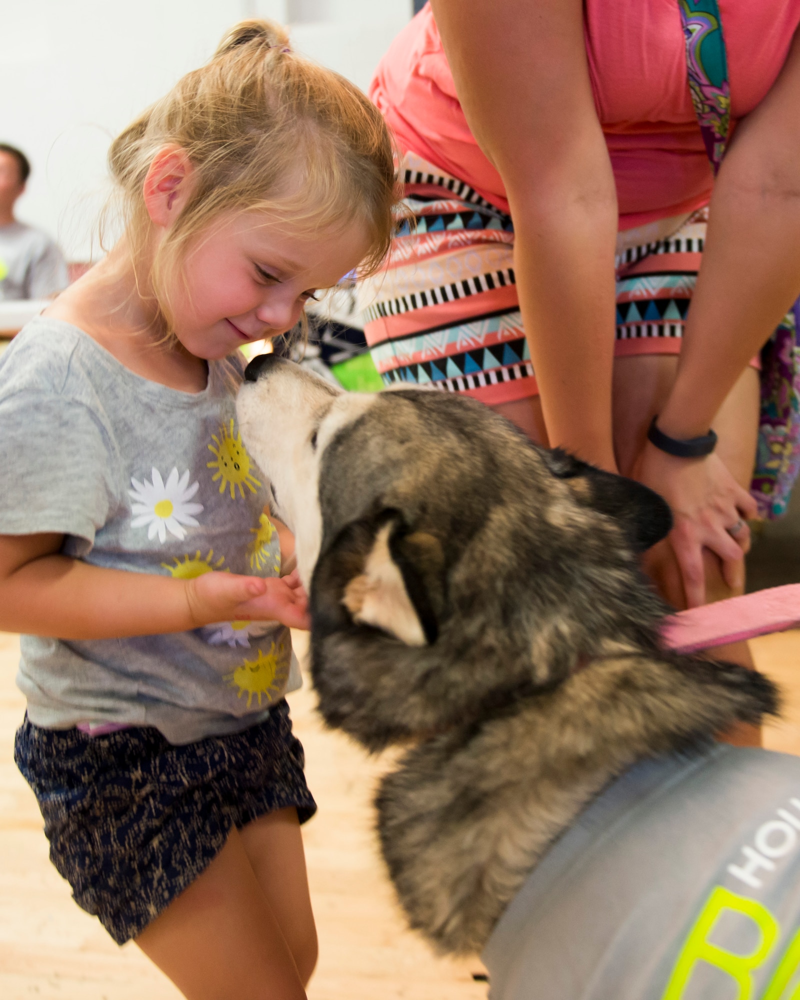 Annelise, 3, plays with a Siberian husky named Mya at the Big Give after-party August 12, 2016 at Holloman Air Force Base, N.M. Over the course of three weeks, 32 teams of 412 participants spent nearly 5,000 man hours volunteering in the local community — saving the area $202,092.33. (Last names are being withheld due to operational requirements. U.S. Air Force photo by Airman 1st Class Randahl J. Jenson)