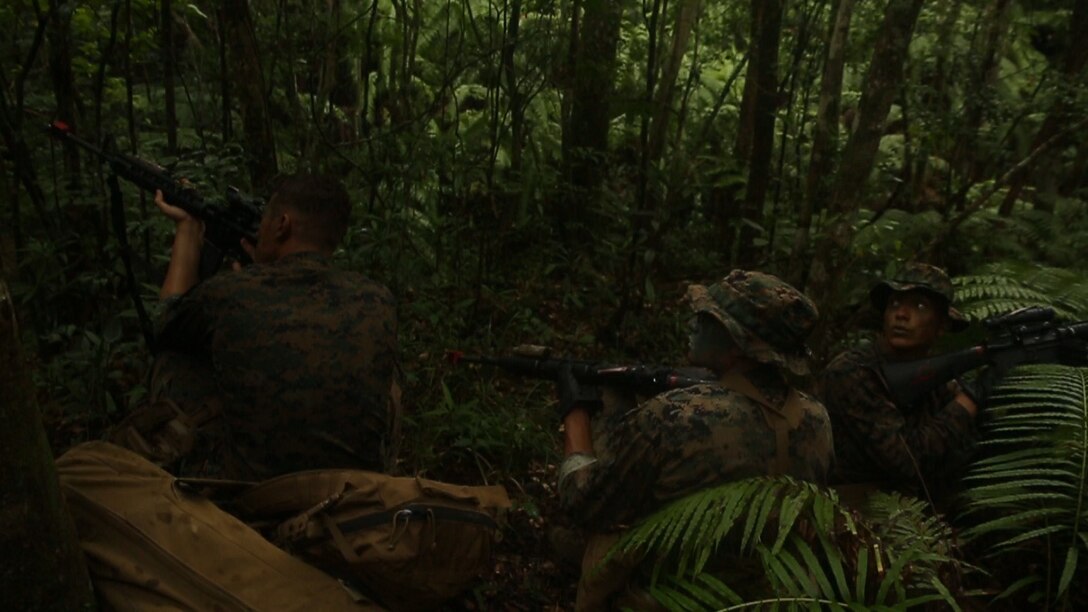 Field military policemen with Company B, 3rd Law Enforcement Battalion, III Marine Expeditionary Force Headquarters Group, III MEF provide security during a field operation at the Jungle Warfare Training Center in Okinawa, Japan. Marines are constantly training to improve their ability to perform in a combat zone. (U.S. Marine Corps photo by Lance Cpl. Kelsey M. Dornfeld/ Released)