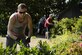Tech. Sgt. Zachary McLeish an air transportation technician with the 76th Aerial Port Squadron, Youngstown-Warren Air Reserve Station, Ohio, volunteers his time to help landscape the air park on Spangdahlem Air Base, Germany, Aug. 17, 2016. He and several Airmen from the 910th Airlift Wing,
Youngstown-Warren ARS, who are temporarily assigned to Spangdahlem took the initiative to help landscape the air park. (U.S. Air Force photo by Staff Sgt. Jonathan Snyder)