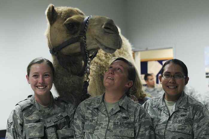 Security Forces Airmen meet Hump-free the camel and pose for a photo Aug. 17, 2016, at Beale Air Force Base, California. Hump-free visited the base for Hump Day, a resiliency day event hosted by the Beale Chapel Corps. (U.S. Air Force photo by Senior Airman Tara R. Abrahams)