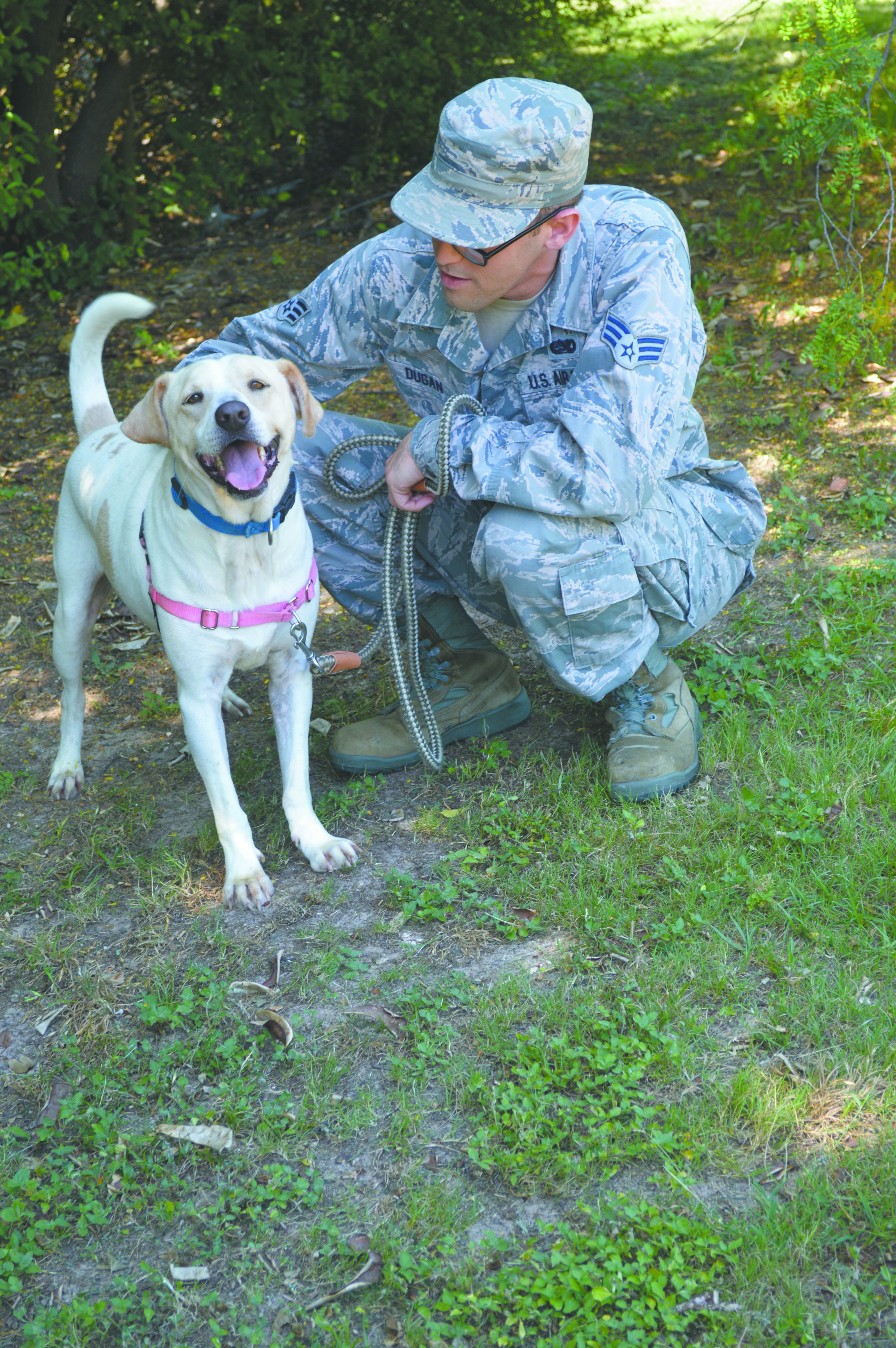 502nd OSS personnel volunteer at San Antonio Pets Alive shelter > Joint Base San Antonio > News