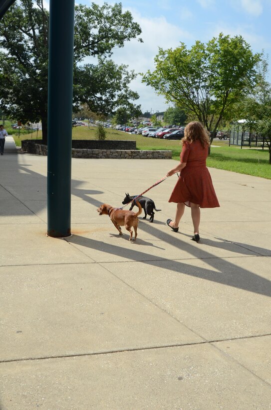 Walsh walks with her dogs outside the Defense Information School. “There’s never really a bad day when they’re around,” Walsh said. Katie Walsh, a Content Management Course instructor at the Defense Information School on Fort Meade, Aug. 16, 2016, at the school. Walsh and her husband adopted Ren in December, while Ginger, originally a foster dog, officially joined the family in August.