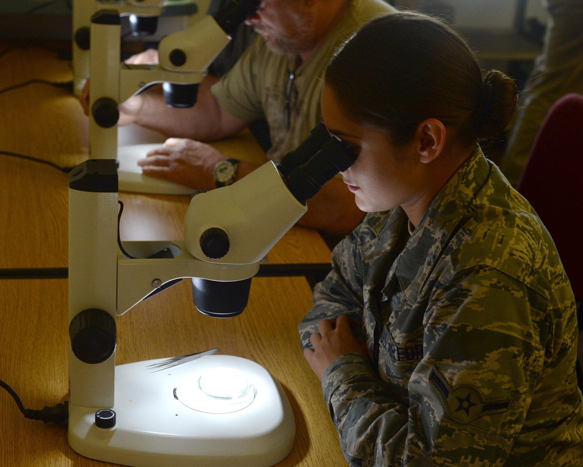 U.S. Air Force Airman Amber Waugh, 325th Public Health Flight public health technician, observes mosquito specimens through a microscope at the Bland conference room at Florida State University in Panama City Fla., Aug. 22, 2016. The Public Health Flight from Tyndall attended the Zika Caucus to share knowledge on methods of combating Zika and the carriers of the virus. (U.S. Air Force photo by Airman 1st Class Cody R. Miller)
