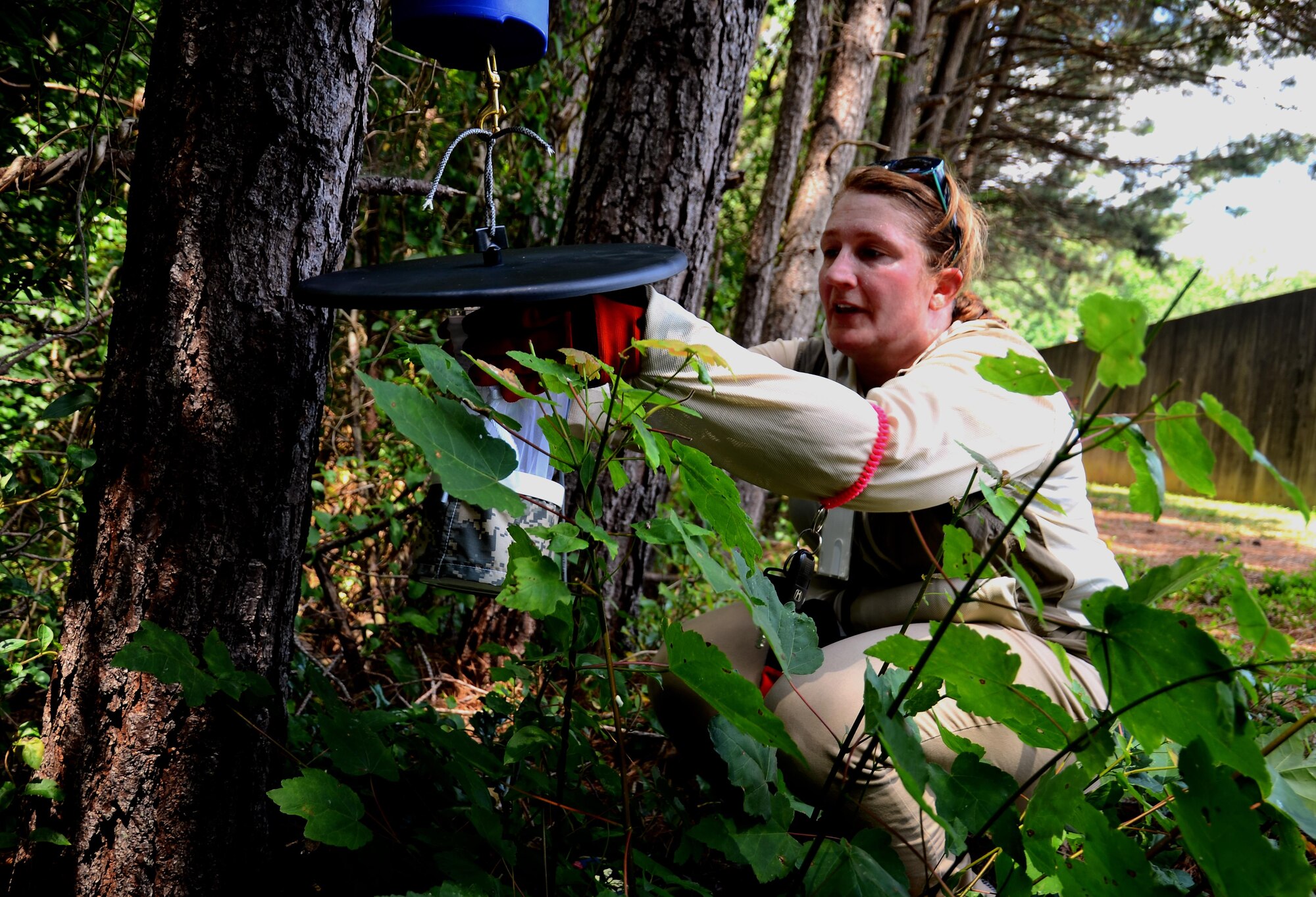 Kathleen Schmidt, Georgia Department of Public Health vector surveillance coordinator, lays traps at the firing range at Dobbins Air Reserve Base, Ga., on June 24, 2016. Schmidt came to Dobbins as part of a Department of Defense intiative to help comabt the Zika virus. (U.S. Air Force photo by Staff Sgt. Daniel Phelps)