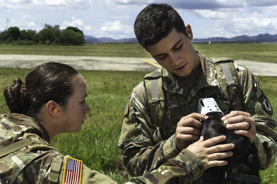 Army Spcs. Courtney Moreland, left, and Harley Reno, both military working dog handlers, look at the face of Reno’s dog, Kyra, during K-9 hoist evacuation training at Soto Cano Air Base, Honduras, Aug. 15, 2016. Ridge and Reno are assigned to Joint Task Force Bravo’s Joint Security Forces. Air Force photo by Staff Sgt. Siuta B. Ika