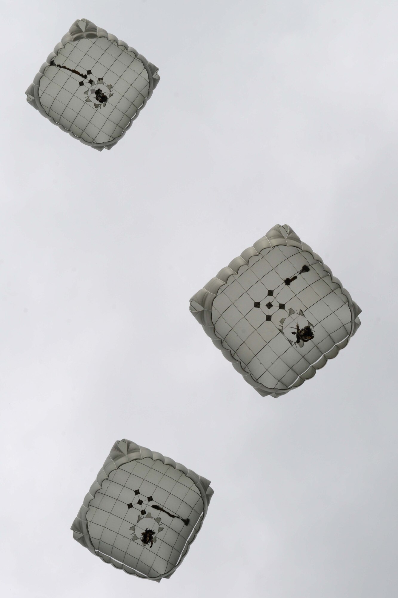 Paratroopers assigned to the 4th Infantry Brigade Combat Team (Airborne), 25th Infantry Division, U.S. Army Alaska, glide toward their target during a joint forcible entry exercise at Malemute Drop Zone on Joint Base Elmendorf-Richardson, Alaska, Aug. 23, 2016, as part of Exercise Spartan Agoge. Spartan Agoge is a brigade-level field training exercise that began Aug. 15, focused on an array of combat-related tasks from squad live-fire exercises to helicopter air insertion and airborne training. (U.S. Air Force Airman 1st Class Javier Alvarez)