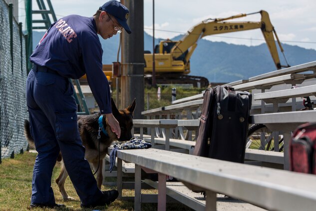 A Hiroshima Prefectural Police Headquarters officer searches for hidden explosives during joint training with the Marine Corps Air Station Iwakuni’s Provost Marshal’s Office K-9 unit and Japan Maritime Self-Defense Force Kure Repair and Supply Facility Petroleum Terminal unit military working dog handlers at MCAS Iwakuni, Japan, Aug. 24, 2016. U.S. and Japanese handlers escorted their K-9’s to locate explosives hidden throughout the stations old furniture store. Handlers and their dogs later conducted evacuation training at the Penny Lake baseball field where they simulated reacting to a bomb threat. The area was set up as if residents had already evacuated the area and left their personal belongings behind. (U.S. Marine Corps photo by Lance Cpl. Aaron Henson)