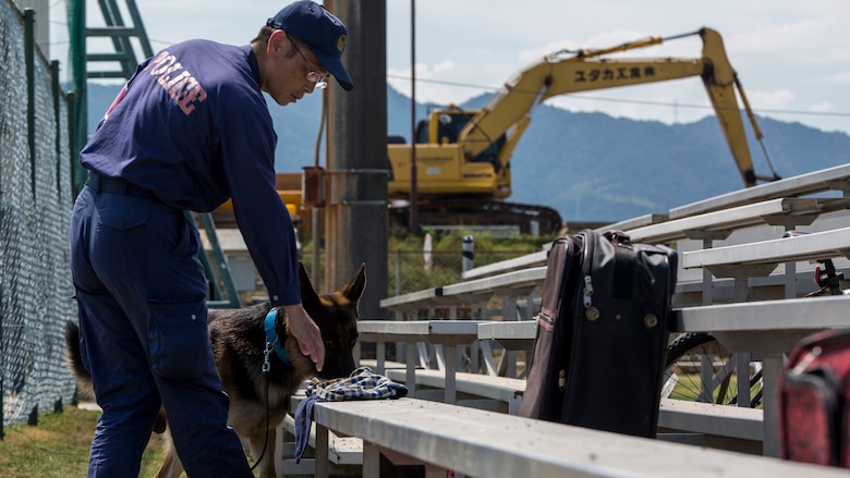 A Hiroshima Prefectural Police Headquarters officer searches for hidden explosives during joint training with the Marine Corps Air Station Iwakuni’s Provost Marshal’s Office K-9 unit and Japan Maritime Self-Defense Force Kure Repair and Supply Facility Petroleum Terminal unit military working dog handlers at Marine Corps Air Station Iwakuni, Japan, Aug. 24, 2016. U.S. and Japanese handlers escorted their K-9’s to locate explosives hidden throughout the stations old furniture store. Handlers and their dogs later conducted evacuation training at the Penny Lake baseball field where they simulated reacting to a bomb threat. The area was set up as if residents had already evacuated the area and left their personal belongings behind.