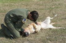 1st Lt. Stephen Dupuis, 69th Bomb Squadron aircrew member, plays with his dog during a welcome home event at Minot Air Force Base, N.D., Aug. 23, 2016. This was the unit’s last deployment to Guam as they will now support the Central Command mission at Al Udeid Air Base. (U.S. Air Force photo/Airman 1st Class Jonathan McElderry)