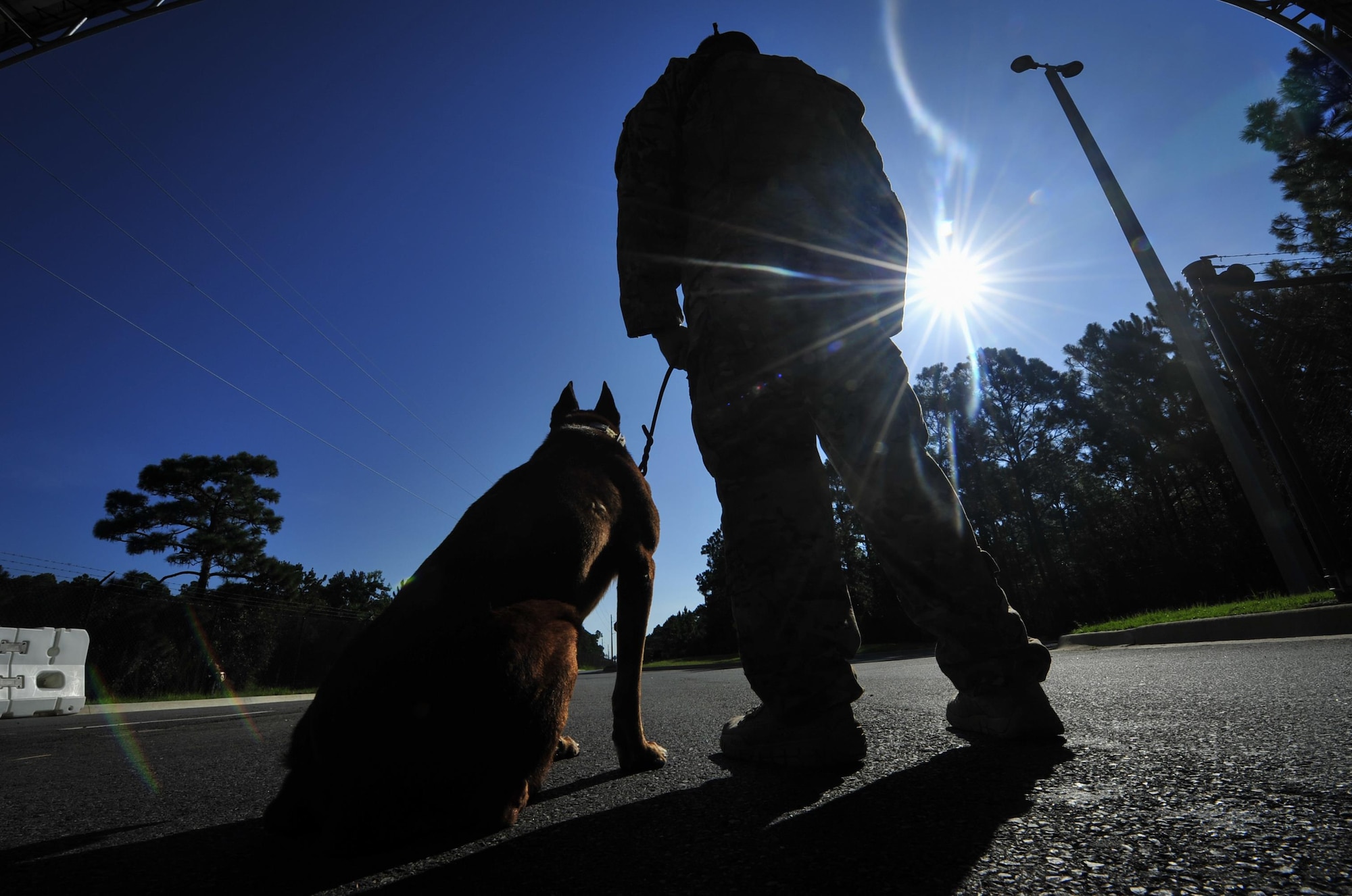 Ziko, a military working dog with the 1st Special Operations Security Forces Squadron, sits alongside Staff Sgt. George Garcia, a military working dog handler with the 1st SOSFS, at Hurlburt Field, Fla., Aug. 22, 2016. Handlers and dogs are responsible for providing the base with narcotic and explosive detection as well as patrol work. (U.S. Air Force photo by Airman 1st Class Joseph Pick)