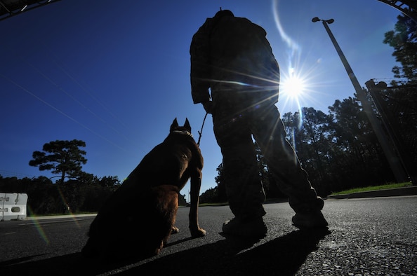 Ziko, a military working dog with the 1st Special Operations Security Forces Squadron, sits alongside Staff Sgt. George Garcia, a military working dog handler with the 1st SOSFS, at Hurlburt Field, Fla., Aug. 22, 2016. Handlers and dogs are responsible for providing the base with narcotic and explosive detection as well as patrol work. (U.S. Air Force photo by Airman 1st Class Joseph Pick)