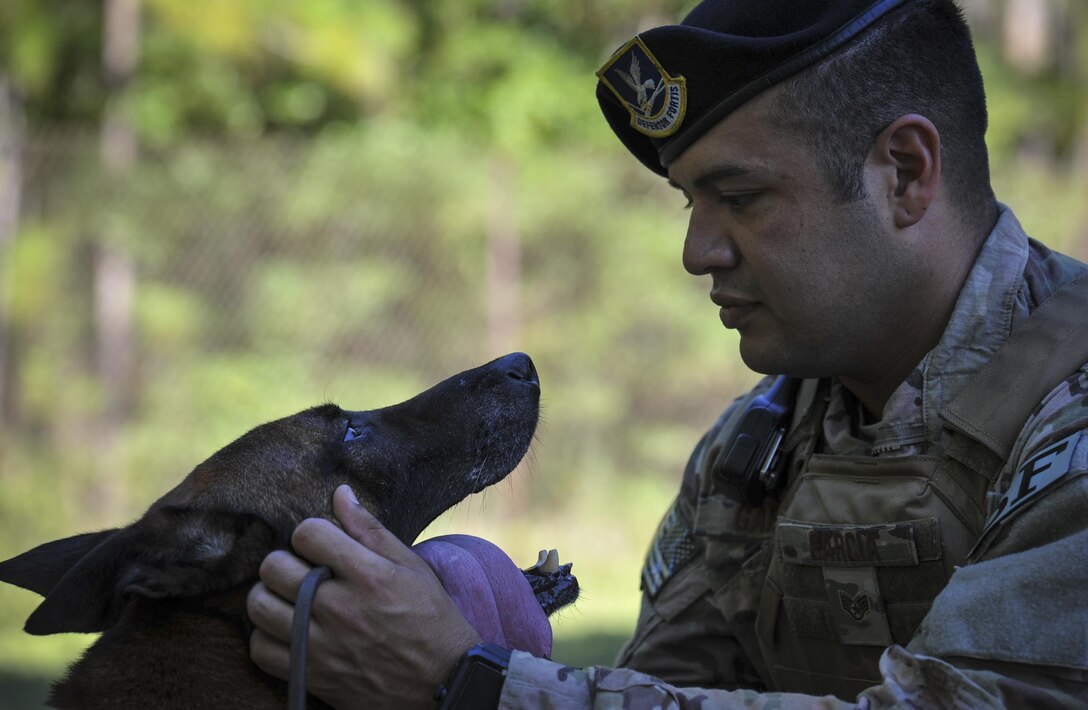 Ziko, a military working dog with the 1st Special Operations Security Forces Squadron, shares a moment with Staff Sgt. George Garcia, a military working dog handler with the 1st SOSFS, at Hurlburt Field, Fla., Aug. 26, 2016. Garcia and Ziko have been partners for more than a year. Handlers and dogs are responsible for providing the base with narcotic and explosive detection as well as patrol work.(U.S. Air Force photo by Airman 1st Class Joseph Pick)