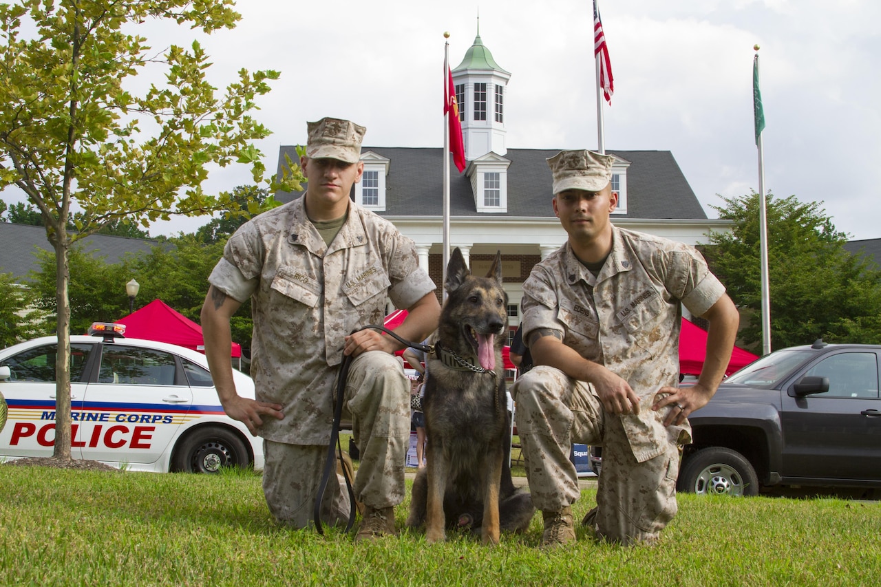 Sergeant Shawn R. Edens (right) and Cpl. Braxton H. Rico (left) pose for a picture with Segal (middle) before the 2016 National Night Out begins outside of Lincoln Military Housing aboard Marine Corps Base Quantico, Va., Aug. 2. The purpose of the event is to strengthen relationships between police forces and community partnerships while increasing public awareness of Quantico’s Security Battalion. Edens and Rico are assigned to Security Battalion aboard MCB Quantico. Segal is a German shepherd who was Edens’ last dog to handle, but is now Rico’s first.