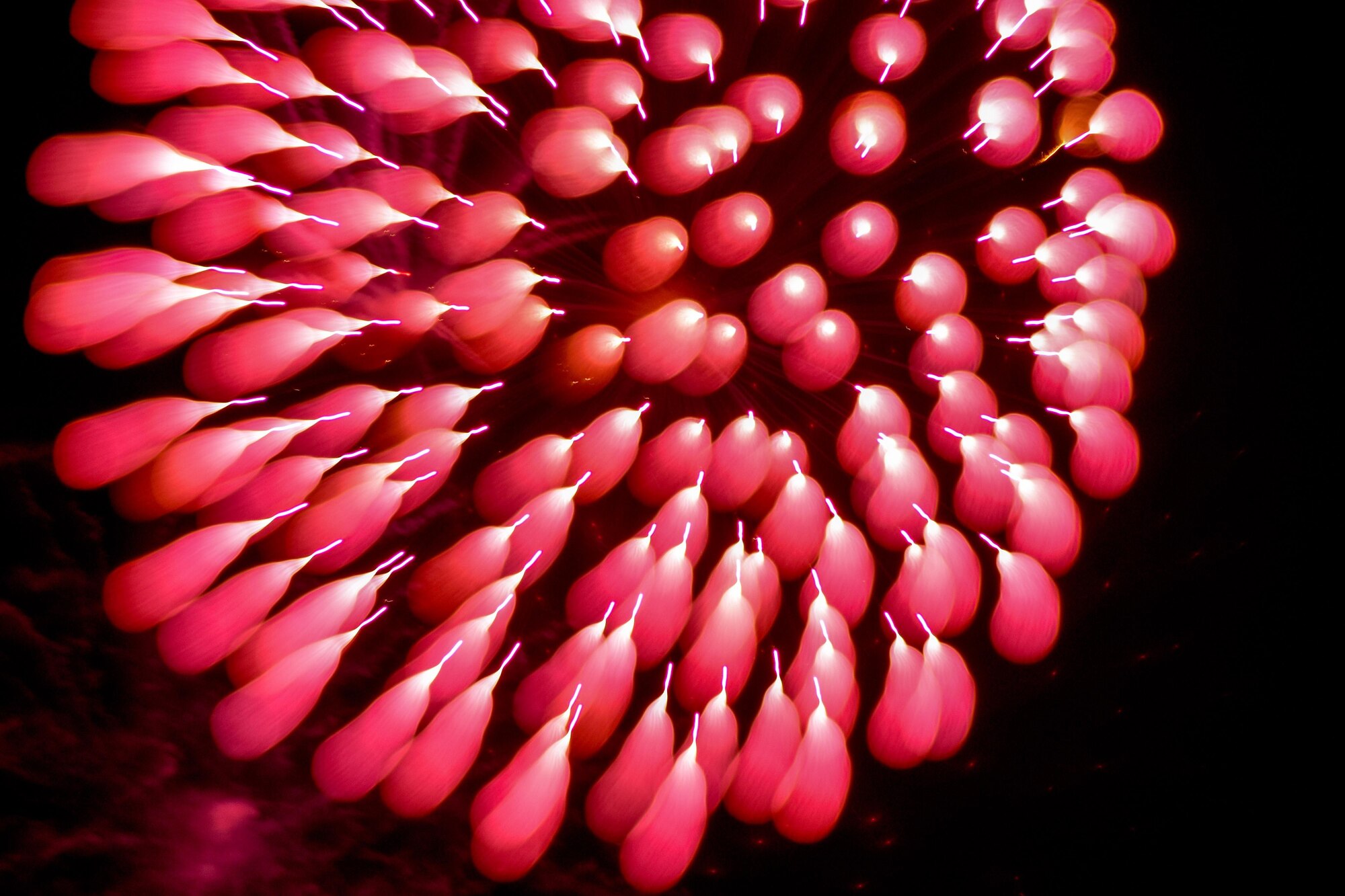 A firework explodes during the postponed Independence Day celebration, Aug. 26, 2016, at Seymour Johnson Air Force Base, North Carolina. The fireworks show ended the night’s festivities that featured multiple food vendors and activities for members of Team Seymour. (U.S. Air Force photo by Airman Shawna L. Keyes)
