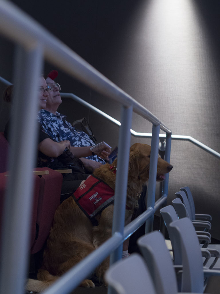 Frankie the Service Dogs sits in the National Museum of the Marine Corps' Scuttlebutt Theater during the Ready Marine Corps presentation on pet preparedness. 