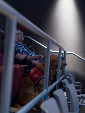 Frankie the Service Dogs sits in the National Museum of the Marine Corps' Scuttlebutt Theater during the Ready Marine Corps presentation on pet preparedness. 