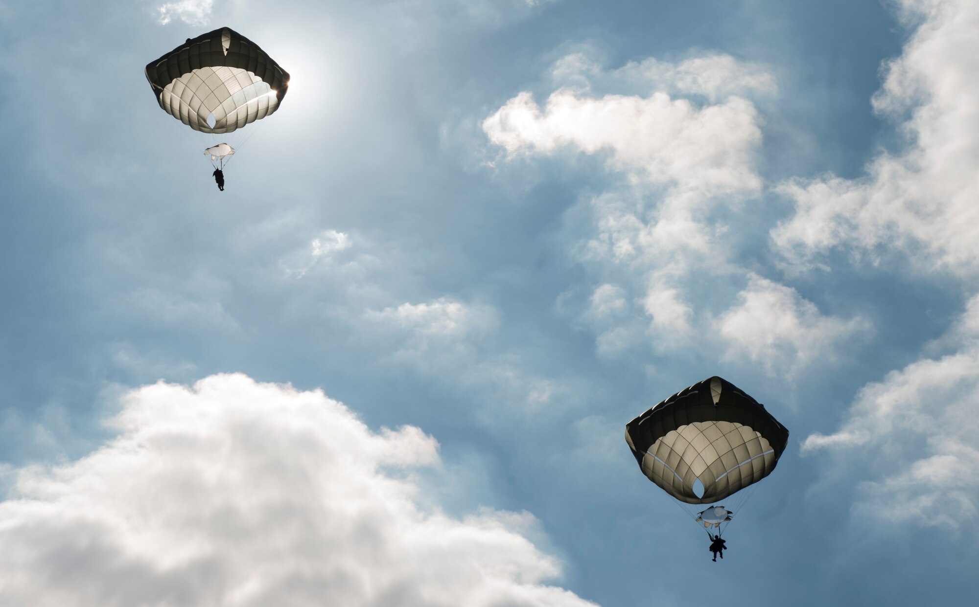 U.S. Army 173rd Airborne Brigade and German Army 1st Airborne Brigade paratroopers parachute during a joint airborne operation near Aviano Air Base, Italy, Aug. 25, 2016. The paratroopers exchanged various techniques and procedures to enhance interoperability between the two countries. (U.S. Air Force photo by Senior Airman Krystal Ardrey/Released)