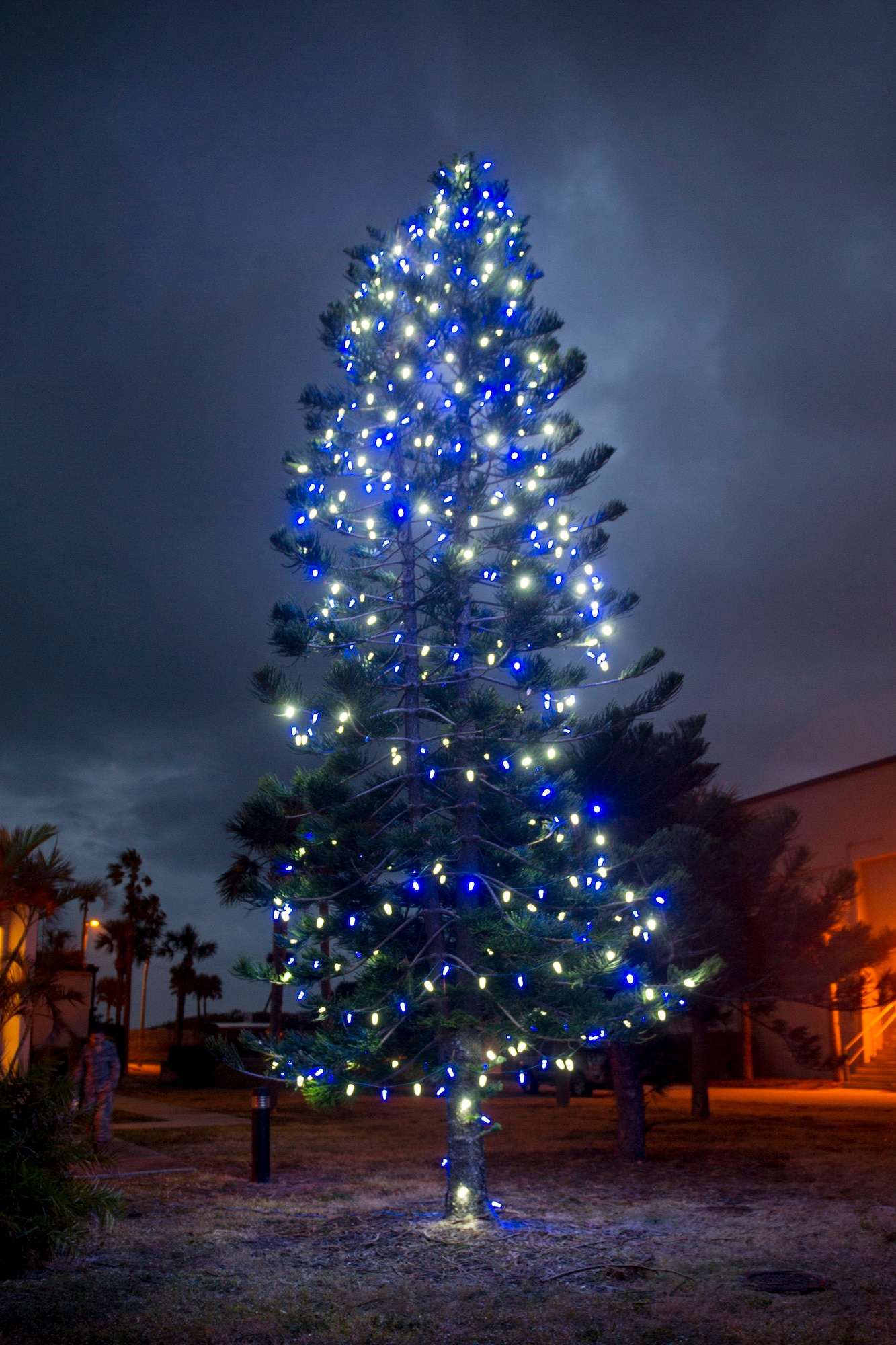 Patrick Air Force Base, Fla. hosted a Christmas Tree Lighting Ceremony at the Seaside Chapel Nov. 30, 2016. (U.S. Air Force photo/Phil Sunkel) 