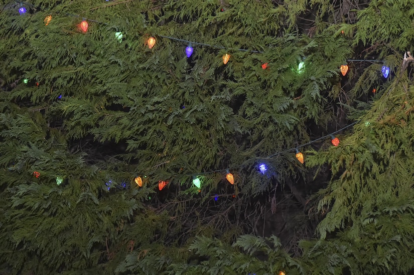 Members of Joint Base Charleston celebrate the start of the holiday season with the annual holiday tree lighting at the Joint Base Charleston – Air Base Nov. 30, 2016. Families and children gathered for caroling, hot chocolate, photos with Santa and the lighting of the holiday tree on base. 