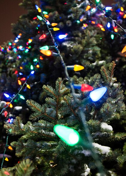 Trees are adorned with snow and colored lights at the annual tree lighting ceremony at Minot Air Force Base, N.D., Dec. 1, 2016. The ceremony concluded with a visit from Santa Claus who arrived via a 5th Civil Engineer Squadron fire truck. (U.S. Air Force photo/Airman 1st Class J.T. Armstrong)