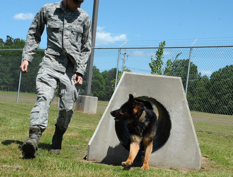 Senior Airman Kyle Jacob, 14th Security Forces Squadron Military Working Dog Handler, guides MWD Rex through the demo course May 5, 2016, at Columbus Air Force Base, Mississippi. Although defenders do not participate in law enforcement outside the gate, they do interact with the local community by providing the local police force with their MWD and handlers as the mission allows. (U.S. Air Force photo by Senior Airman Kaleb Snay)