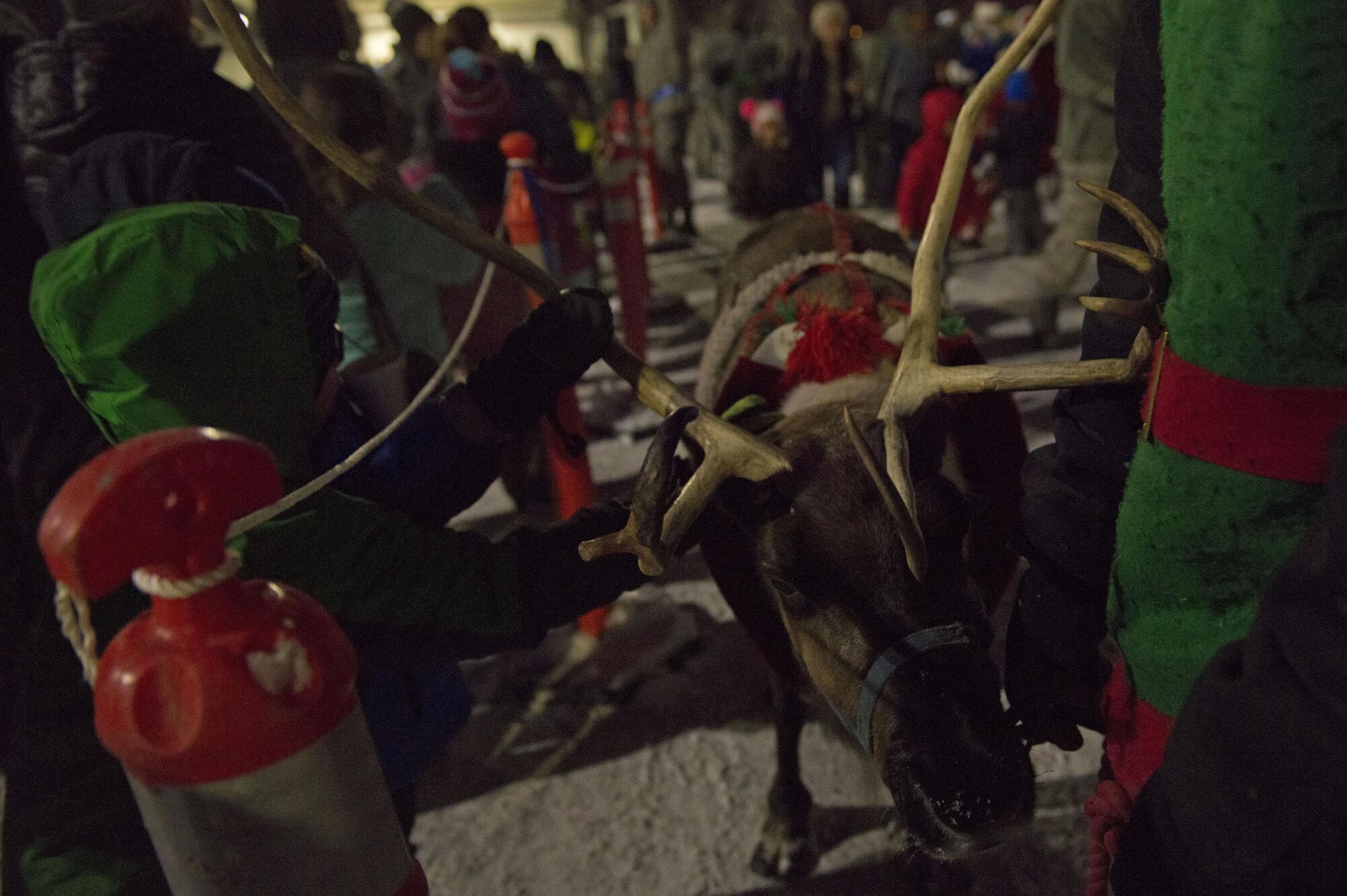 Service members and families meet Blitzen the reindeer during the annual Joint Base Elmendorf-Richardson Holiday Tree Lighting, at JBER, Alaska, Dec. 1, 2016. The event featured musical selections from the Ursa Major Elementary School choir and Central Middle School choir, and a guest appearance by Mr. and Mrs. Santa Claus. 