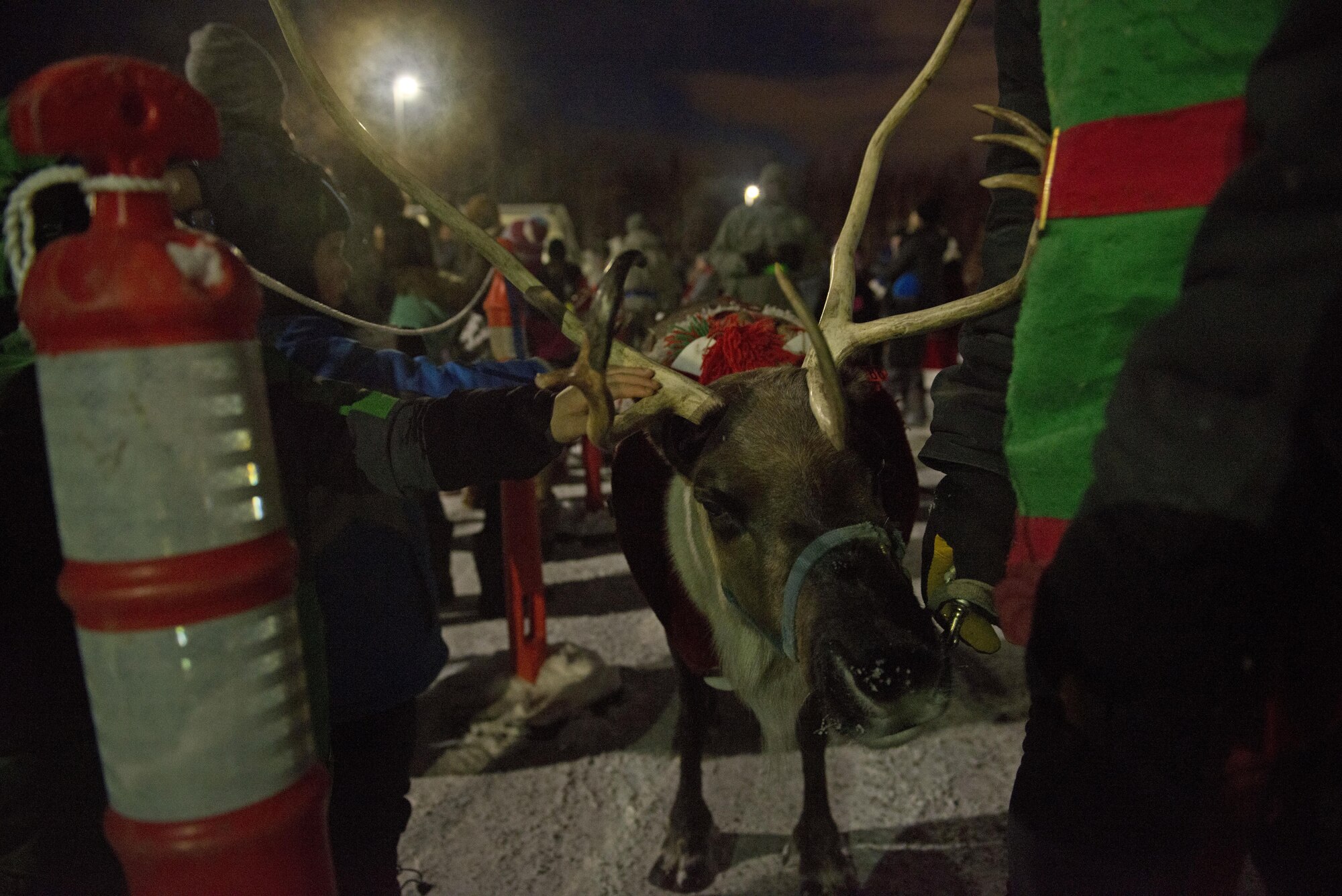 Service members and families meet Blitzen the reindeer during the annual Joint Base Elmendorf-Richardson Holiday Tree Lighting, at JBER, Alaska, Dec. 1, 2016. The event featured musical selections from the Ursa Major Elementary School choir and Central Middle School choir, and a guest appearance by Mr. and Mrs. Santa Claus. 