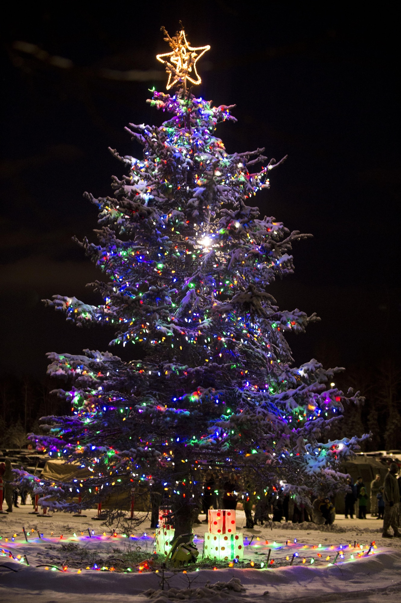 The Joint Base Elmendorf-Richardson Holiday tree lights up in front of the Joint Military Mall during the annual Christmas tree lighting, Dec. 1, 2015 at JBER, Alaska. The event featured musical selections from the Ursa Major Elementary School choir and Central Middle School choir, and a guest appearance by Mr. and Mrs. Santa Claus. 