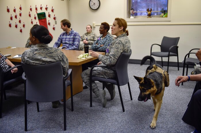 Sergeant Stoeger, an animal assisted activity dog, sits in on a meeting at the Mental Health Clinic here, Dec. 1, 2016. As an assisted activity animal dog, Stoeger is able to sit in on appointments when requested by patients and attend mental health immersions around base.