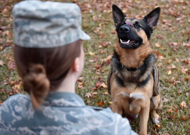 Senior Airman Kasandra Groff, a Joint Base Charleston Mental Health Clinic mental health technician and Sergeant Stoeger’s owner, balances a treat on Stoeger’ s nose here, Dec. 1, 2016. As an assisted activity animal dog, Stoeger is able to sit in on appointments when requested by patients and attend mental health immersions around base.