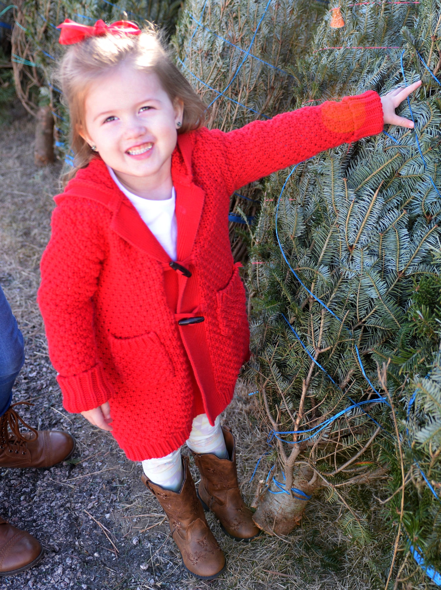 Allyanna Thompson, daughter of Tashina and Senior Airman Jordan Thompson, who is currently serving overseas, smiles as she chooses her favorite Christmas tree during Ellsworth’s ninth annual Trees for Troops event Dec. 2, 2016. Trees for Troops is a national program dedicated to providing military families with real Christmas trees each year during the holiday season. (U.S. Air Force photo by Airman 1st Class Denies M. Jenson)