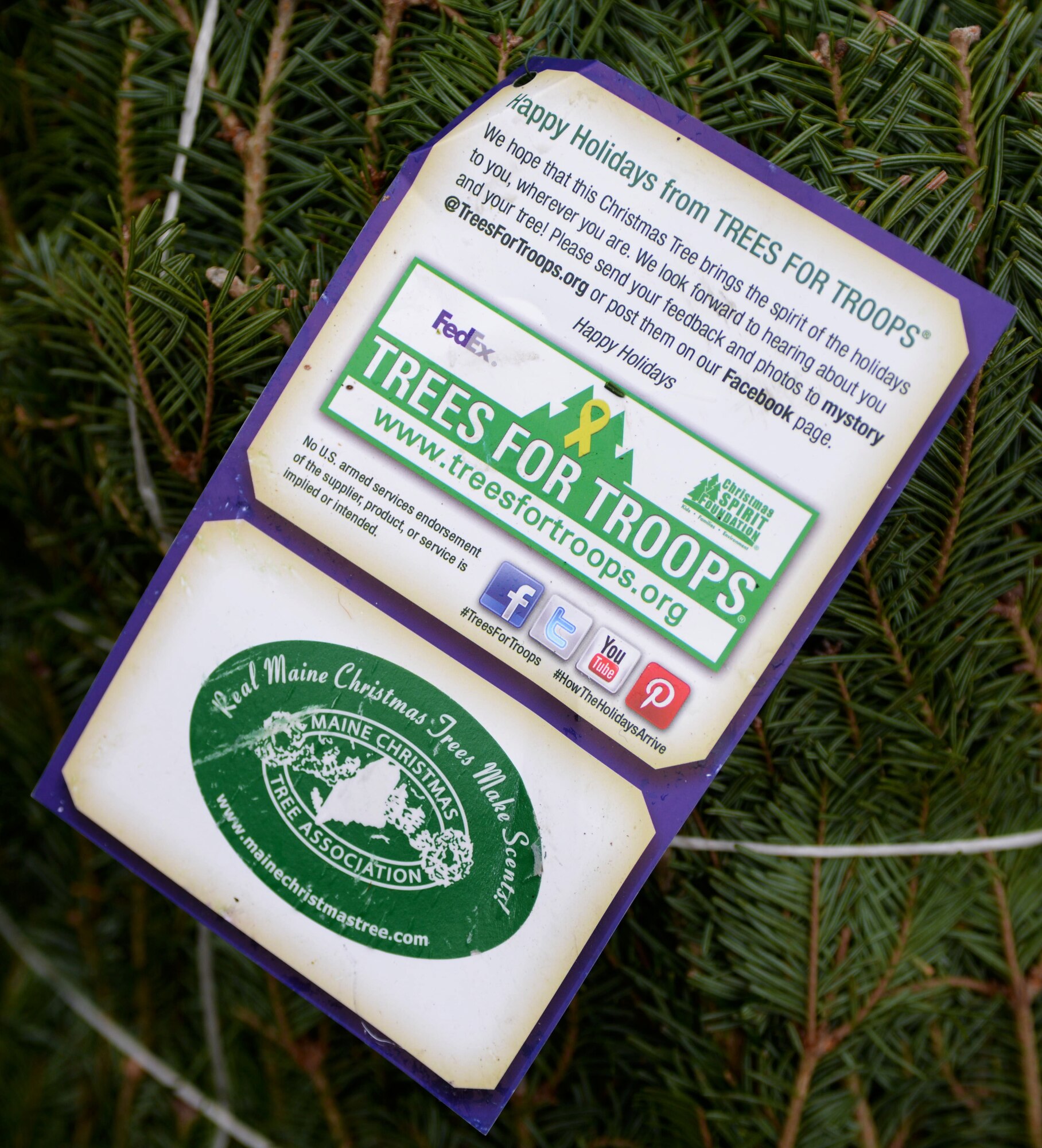 Airmen stationed at Ellsworth Air Force Base, S.D., received a shipment of 175 real Christmas trees during Ellsworth’s ninth annual Trees for Troops program Dec. 2, 2016. During the busy weeks leading up to Christmas, more than 18,000 real trees will be delivered to approximately 65 military bases. (U.S. Air Force photo by Airman 1st Class Denise M. Jenson)