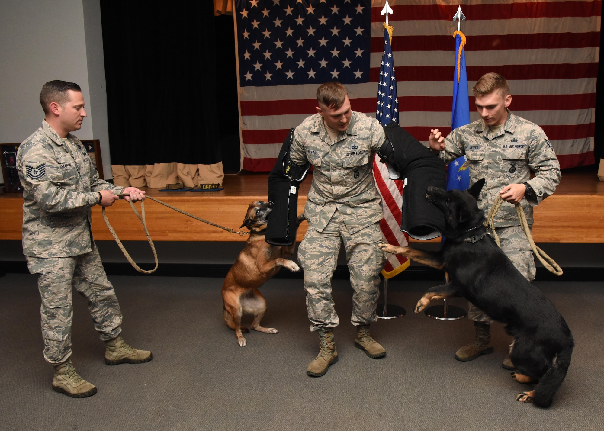 Densy and Ares, 81st Security Forces Squadron military working dogs, bite onto bite sleeves, worn by Staff Sgt. William Herron, 81st SFS military working dog handler, during their retirement ceremony at the Keesler Medical Center Don Wylie Auditorium Dec. 2, 2016, on Keesler Air Force Base, Miss. They served more than 17 years combined in the Air Force. (U.S. Air Force photo by Kemberly Groue)