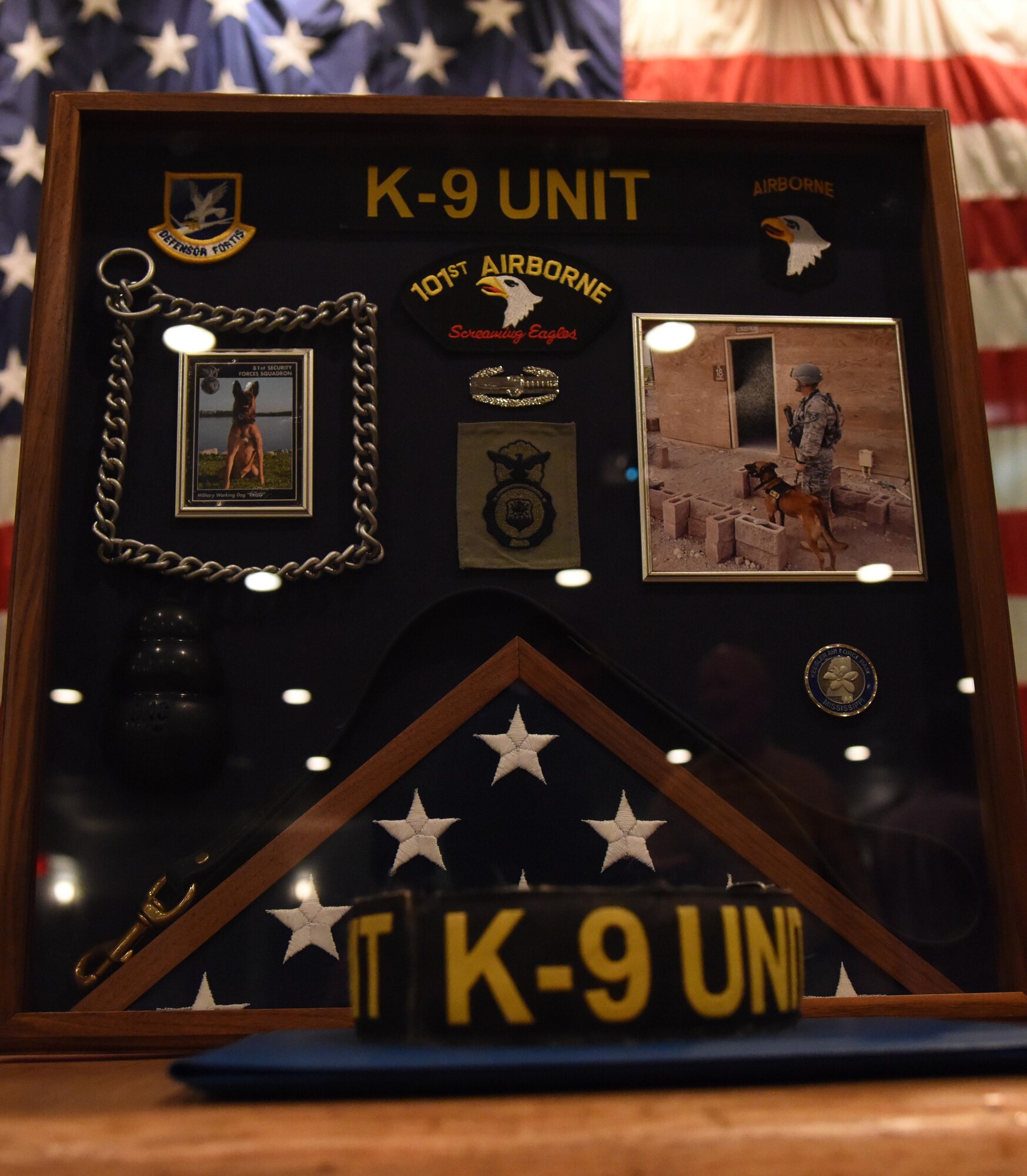 A shadowbox for Densy, 81st Security Forces Squadron military working dog, sits on display during his retirement ceremony at the Keesler Medical Center Don Wylie Auditorium Dec. 2, 2016, on Keesler Air Force Base, Miss. She served more than nine years in the Air Force. After serving together for two years, to include one deployment, Tech. Sgt. James Martin III, 81st SFS charlie flight flight chief, adopted Densy. (U.S. Air Force photo by Kemberly Groue)