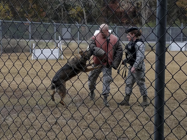 Staff Sgt. Adam Dye, 628th Security Forces Squadron military working dog handler, center, and Staff Sgt. Angela Lowe, right, demonstrate a military working dog training exercise during a  spouse tour at Joint Base Charleston, S.C., Dec. 5, 2016. Spouses had the opportunity to tour various mission sets across the Air Base.