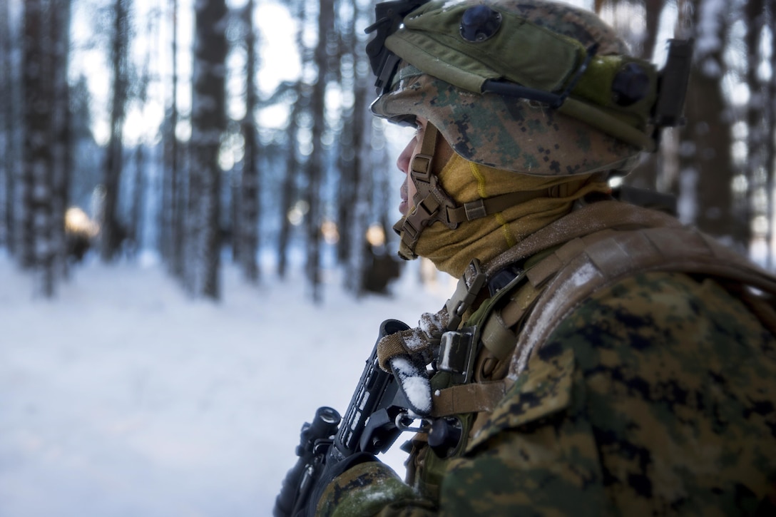 A sailor provides security during Exercise Iron Sword 16 in the Rukla Training Area, Lithuania, Nov. 29, 2016. The sailor is assigned to Black Sea Rotational Force 16.2. Iron Sword is an international training exercise featuring 11 NATO countries and about 4,000 troops, designed to promote regional stability and security, while strengthening partnership capacity, and fostering trust while improving the ability to conduct joint training between Lithuania, the U.S. and NATO member nations. Marine Corps photo by Cpl. Clarence L. Wimberly