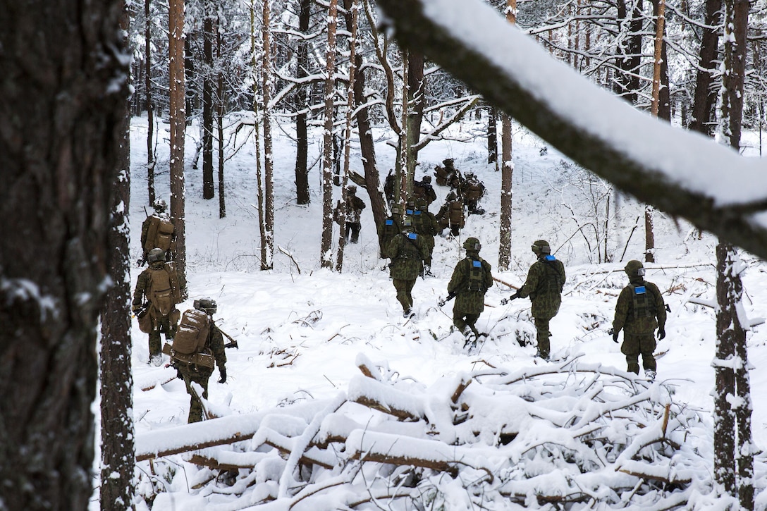 U.S. Marines and Lithuanian soldiers patrol to their follow-on objective during Exercise Iron Sword 16 in Rukla Training Area, Lithuania, Nov. 29, 2016. Marine Corps photo by Sgt. Kirstin Merrimarahajara 